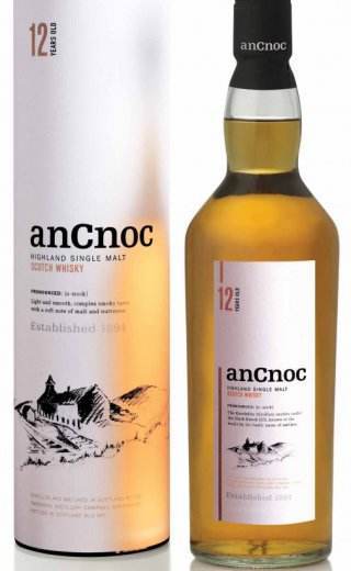 ancnoc-12-yo.jpg